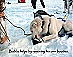 YUKON QUEST - [copyright: JuniorYukonQuest]
