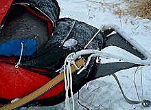 Defekter Schlitten v. Bicknell