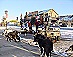 YUKON QUEST - [copyright: Carsten]