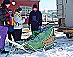 YUKON QUEST - [copyright: Carsten]