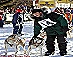 YUKON QUEST - [copyright: Carsten Thies]