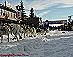 YUKON QUEST - [copyright: Carsten Thies]
