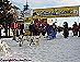 YUKON QUEST - [copyright: Carsten Thies]