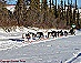 YUKON QUEST - [copyright: Carsten Thies]