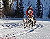 YUKON QUEST - [copyright: Carsten Thies]