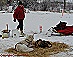 YUKON QUEST - [copyright: Carsten Thies]