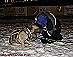 YUKON QUEST - [copyright: Carsten Thies]