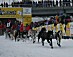 YUKON QUEST 04 - agata franczak