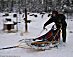 YUKON QUEST - Eric Nicolier