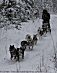 YUKON QUEST - Jack Berry