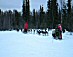 YUKON QUEST 04 - mark may