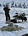 YUKON QUEST 04 - mark may