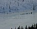 YUKON QUEST 04 - team