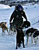 YUKON QUEST 04 - kyla boivin