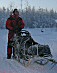 YUKON QUEST 04 - tom benson