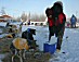 YUKON QUEST 04 - eric butcher