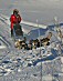YUKON QUEST 04 - crispin studer