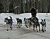 YUKON QUEST 04 - schandelm.