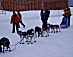 YUKON QUEST 04 - zack steer