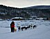 YUKON QUEST 04 - michelle phillips