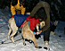 YUKON QUEST 04 - sab schnuelle