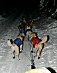 YUKON QUEST 04 - schnuelles team