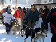 Yukon Quest Video Copyright by Peter Kamper