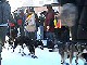 Yukon Quest Video Copyright by Peter Kamper