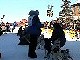 Yukon Quest Video Copyright by Peter Kamper