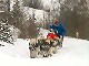 Yukon Quest Video Copyright by Peter Kamper
