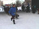 Yukon Quest Video Copyright by Peter Kamper