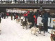 Yukon Quest Video Copyright by Peter Kamper