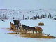 Yukon Quest Video Copyright by Peter Kamper