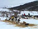 Yukon Quest Video Copyright by Peter Kamper