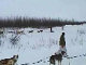 Yukon Quest Video Copyright by Peter Kamper