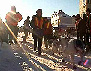 Yukon Quest Video Copyright by Peter Kamper