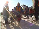 Yukon Quest Video Copyright by Peter Kamper