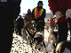 Yukon Quest Video Copyright by Peter Kamper
