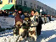 Yukon Quest Video Copyright by Peter Kamper