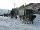 Yukon Quest Video Copyright by Peter Kamper