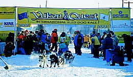 Yukon Quest - Copyright Yukon Quest International