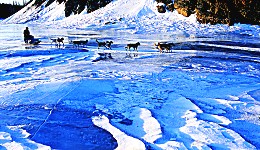 Yukon Quest - Copyright Yukon Quest International