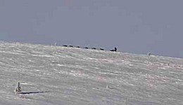 Yukon Quest - Copyright Yukon Quest International