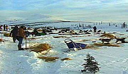 Yukon Quest - Copyright Yukon Quest International