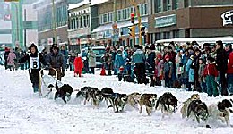 Yukon Quest - Copyright Yukon Quest International