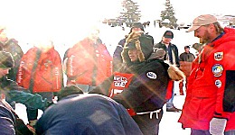 Yukon Quest - Copyright Yukon Quest International
