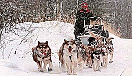 Yukon Quest - Copyright Yukon Quest International