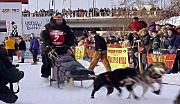 Yukon Quest - Copyright Yukon Quest International