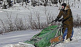 Yukon Quest - Copyright Yukon Quest International