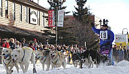 Yukon Quest - Copyright Yukon Quest International